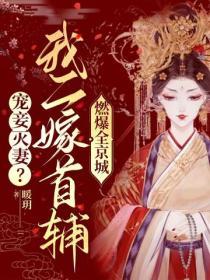 宠妾灭妻？我二嫁首辅燃爆全京城