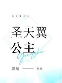 圣天翼公主