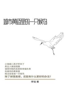 城市黄昏里的一只候鸟