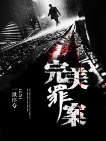 完美罪案