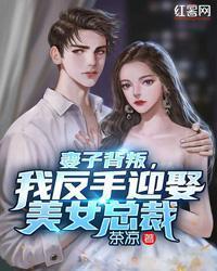 妻子背叛，我反手迎娶美女总裁