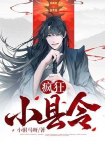疯狂小县令