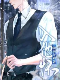 入他怀