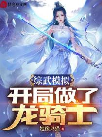 综武模拟：开局做了龙骑士