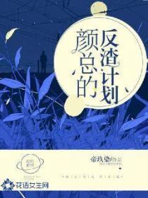 颜总的反渣计划