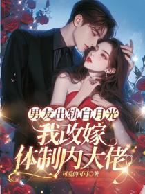 男友出轨白月光，我改嫁体制内大佬