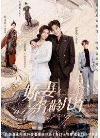 娇妻芳龄几许（郭迦南 、宋芳园主演影视剧原著）