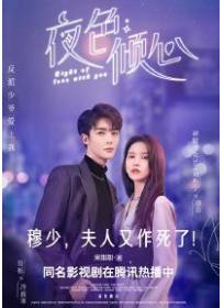 夜色倾心（刘些宁、管栎主演同名影视原著）