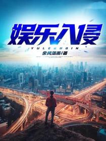 娱乐入侵