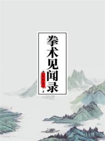 拳术见闻录