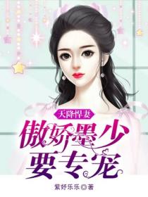 天降悍妻：傲娇墨少要专宠