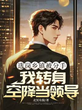 选岗乡镇被分手，我转身空降当领导