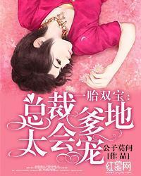 一胎双宝：总裁爹地太会宠