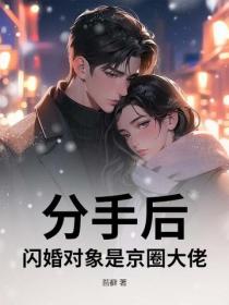 分手后，闪婚对象是京圈大佬