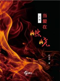 当爱在燃烧上册