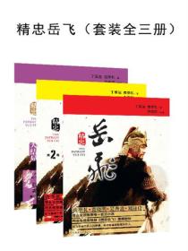精忠岳飞（套装全三册）