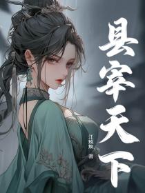 县宰天下