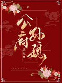 公府孙媳