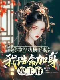 你拿军功换平妻，我诰命加身嫁王府