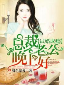 总裁老公晚上好