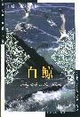白鲸