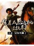 驾着威龙战机去抗日