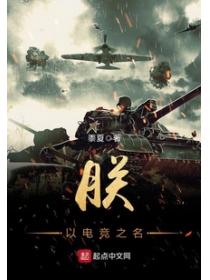朕以电竞之名