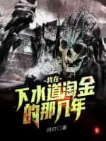 我在下水道淘金的那几年