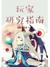 玩家研究指南