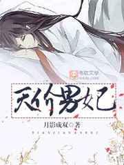 天价男妃