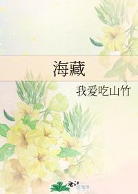 海藏