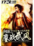 网游之鏖战武风