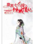 腹黑七小姐：倾城傻妃