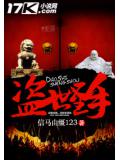 盗世圣手