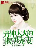 男神大人的腹黑宠妻