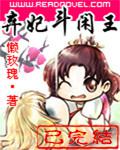 弃妃斗闲王