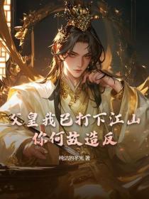 父皇我已打下江山，你何故造反？