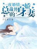 一夜婚情：总裁的替身娇妻