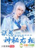 沉欢:误惹神秘右相