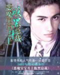 恶魔宝宝斗上腹黑总裁