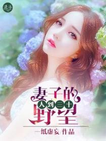 人到三十：妻子的野望