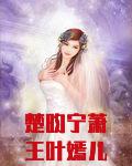 楚昀宁萧王叶嫣儿是什么小说