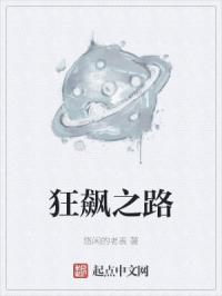 狂飙之路