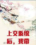 上交系统后，我带飞全国