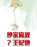 抄家流放？王妃她富可敌国