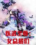 医武至尊：女总裁们哭着求我别放手