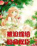 被迫嫁给短命权臣后
