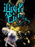 追凶者笔记