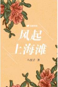 风起上海滩