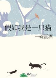 假如我是一只猫